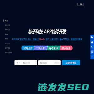软件开发