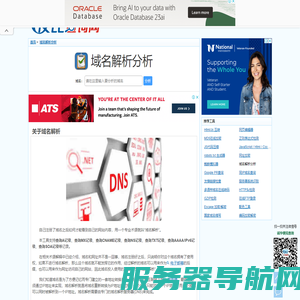 域名解析查询