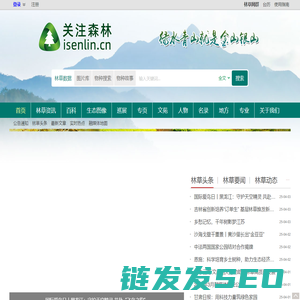 关注森林