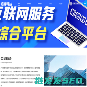 广东韬略科技服务有限责任公司