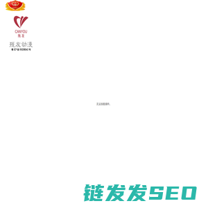 残友动漫文化发展有限公司专业为您提供网站（Web）设计
