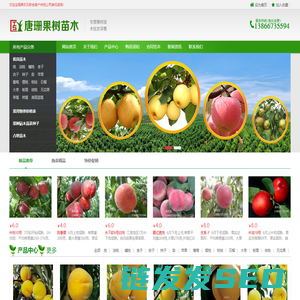 果树苗多个品种