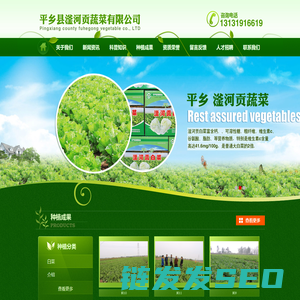 平乡县滏河贡蔬菜有限公司