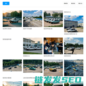 驾校在线咨询