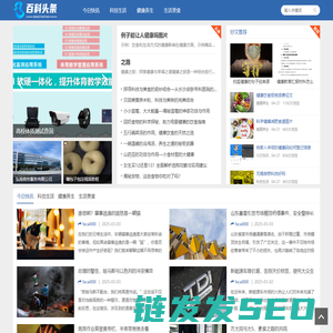 法界新潮流