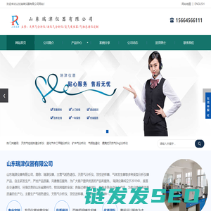 天然气在线热值分析仪