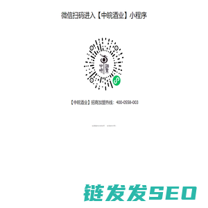 中皖酒业