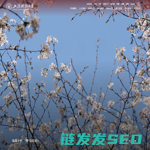 上海财经大学