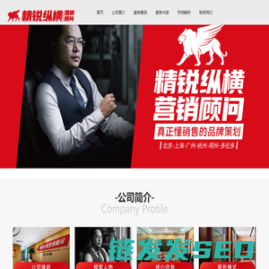 精锐纵横营销顾问