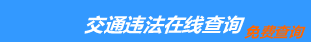 （手机版）济南交通违章查询