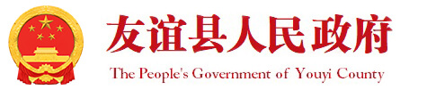 友谊县人民政府门户网站