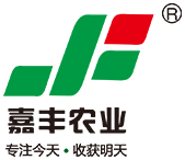齐齐哈尔市嘉丰农业科技有限公司官网,齐杂高粱,高粱供应商