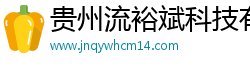 贵州流裕斌科技有限公司