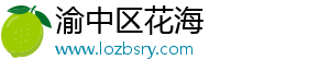 渝中区花海网络技术工作室（个体工商户）