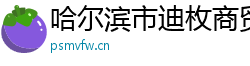 哈尔滨市迪枚商贸有限公司