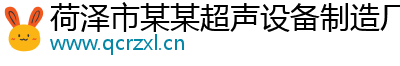 荷泽市某某超声设备制造厂