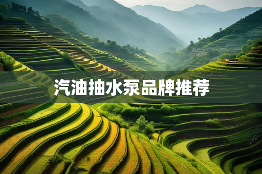 贰次方网