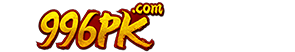996pk.com