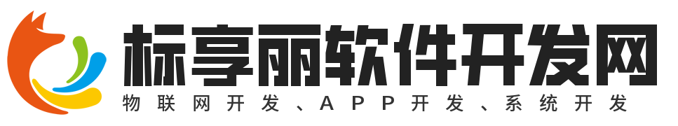大连标享丽软件开发网