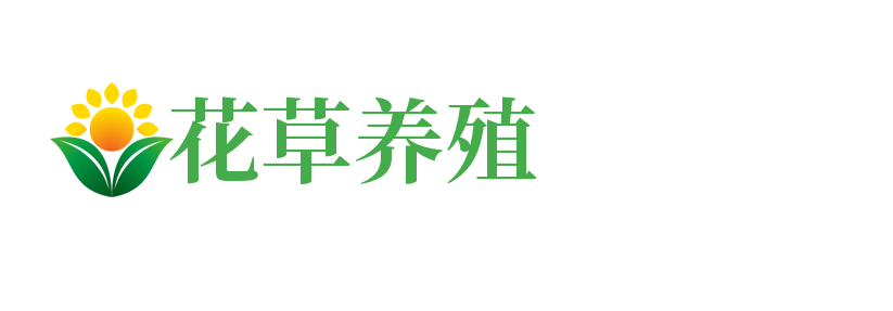 知花网