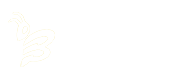 东阳做网站