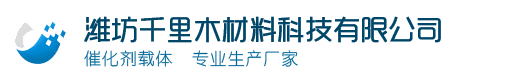 分子筛载体