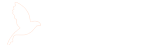 沈阳和平人才网