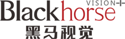 外贸网站建设