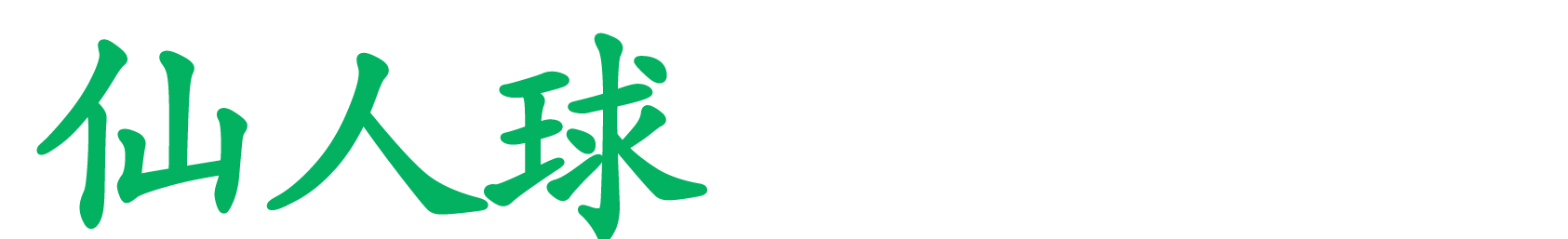 仙人球网络科技有限公司