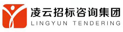 【凌云咨询】