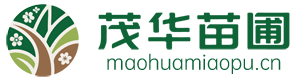 三亚茂华苗圃场