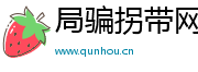 局骗拐带网