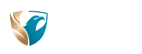 擎衣卫