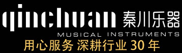 石家庄买吉他