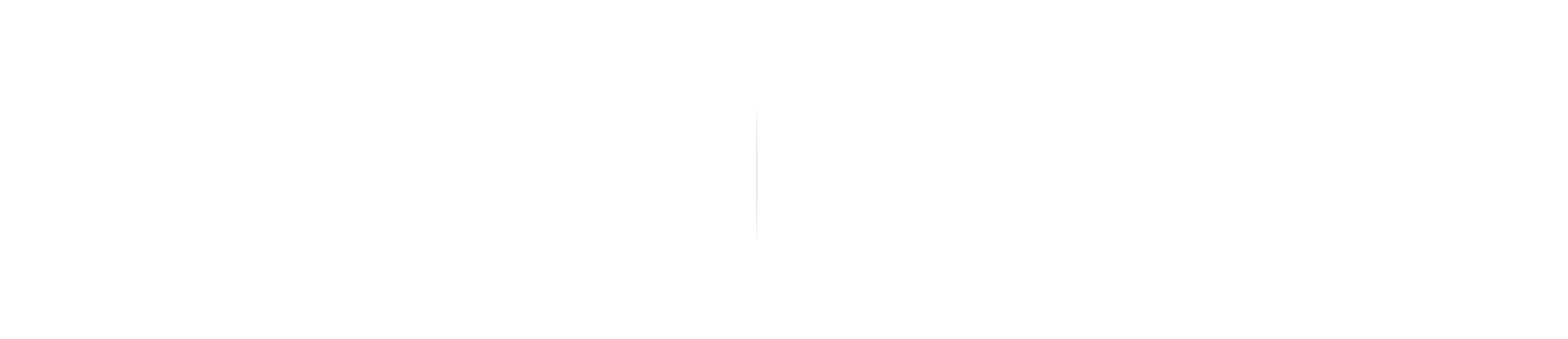 斯达特(Starter)