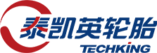 泰凯英官网