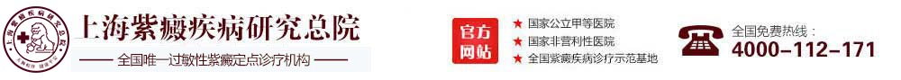 上海紫癜疾病研究院