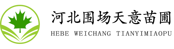 河北围场天意苗木基地