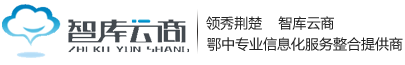 智库云商（荆门）信息技术有限公司