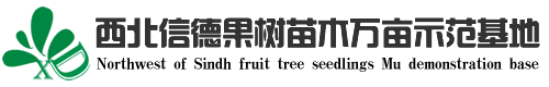 网站首页