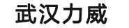 武汉力威起重机制造有限公司