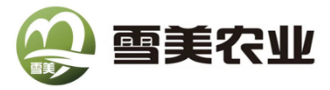 首页