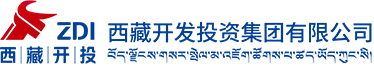 西藏开发投资集团有限公司