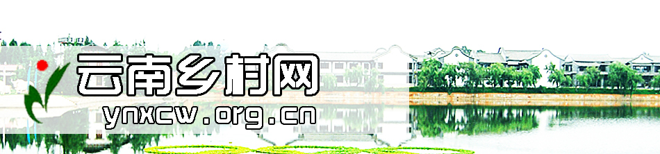 云南乡村网