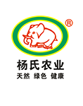 陕西绿心猕猴桃价格