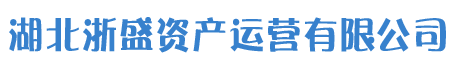湖北浙盛投资有限公司
