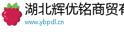湖北辉优铭商贸有限公司