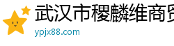 武汉市稷麟维商贸有限公司